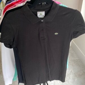 Mint condition Lacoste polo size 40